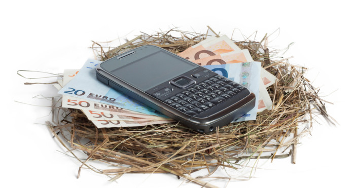 Money and phone in nest isolated on white