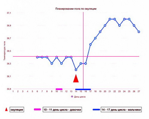 planirovanie_pola_pebenka_po_ovulacii-700x51219