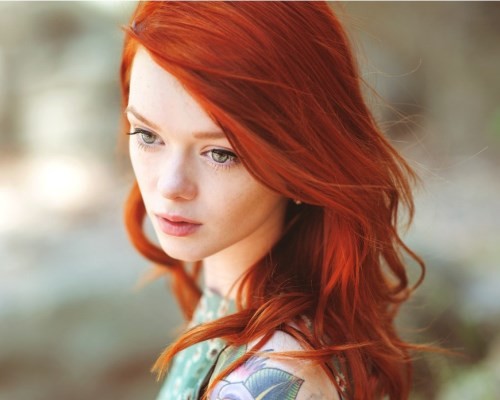 2013-11-11_141147-1050x697